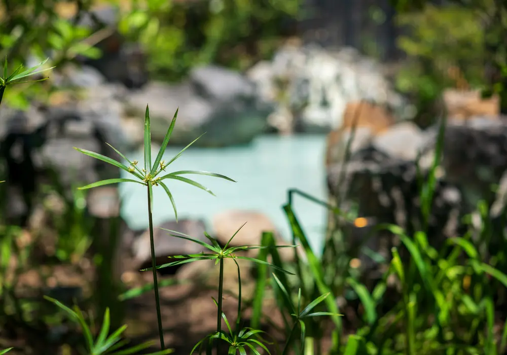 Open-air bath Byakushi-no-yu